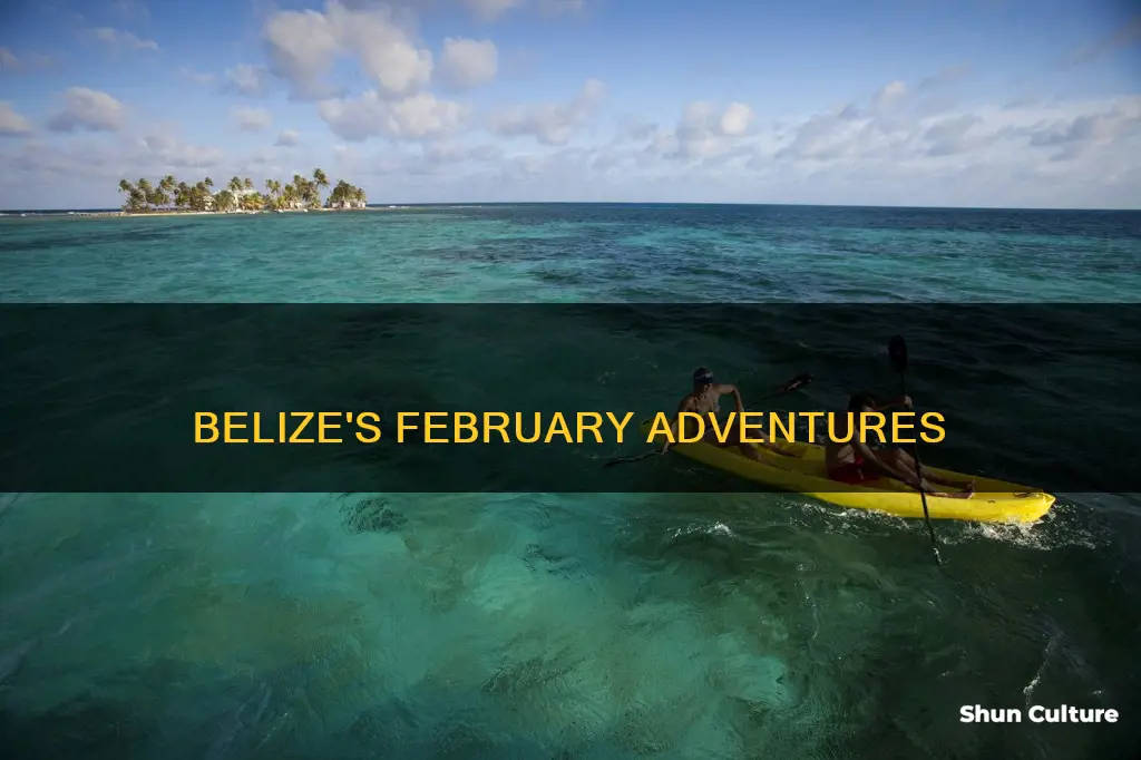 what to do in belize in February
