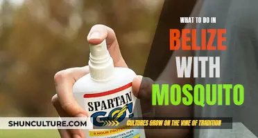 Belize: Avoiding Mosquitoes