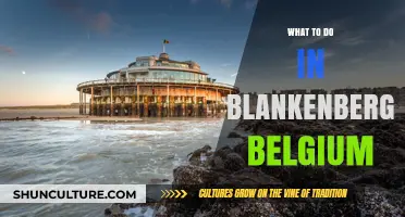 Discovering Blankenberge: Top Activities and Hidden Gems in Belgium's Coastal Town