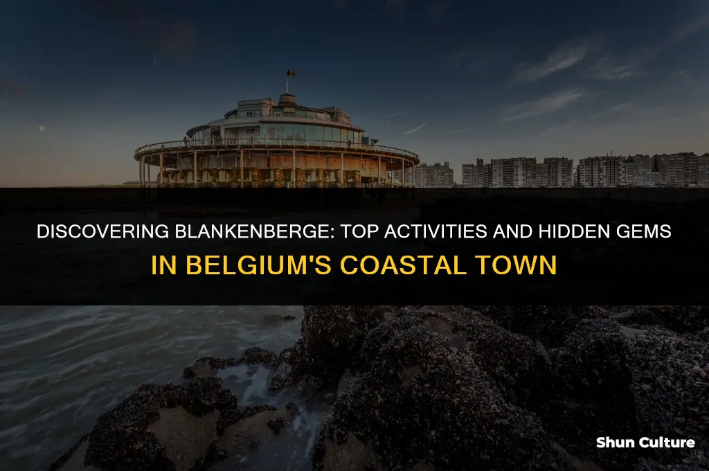 what to do in blankenberge belgium