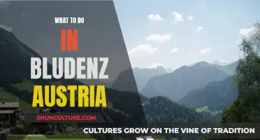 Bludenz Adventure: Uncover Austria's Hidden Gem