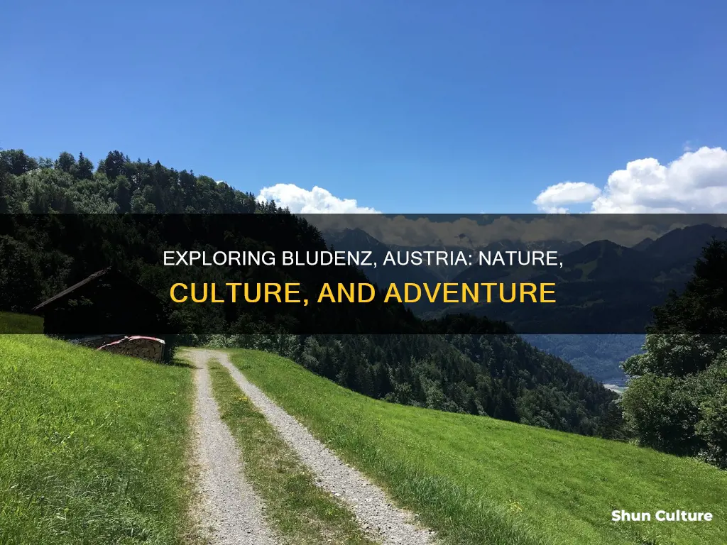 what to do in bludenz austria