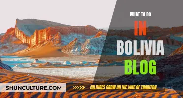 Exploring Bolivia: A Travel Guide to the Country's Best Attractions