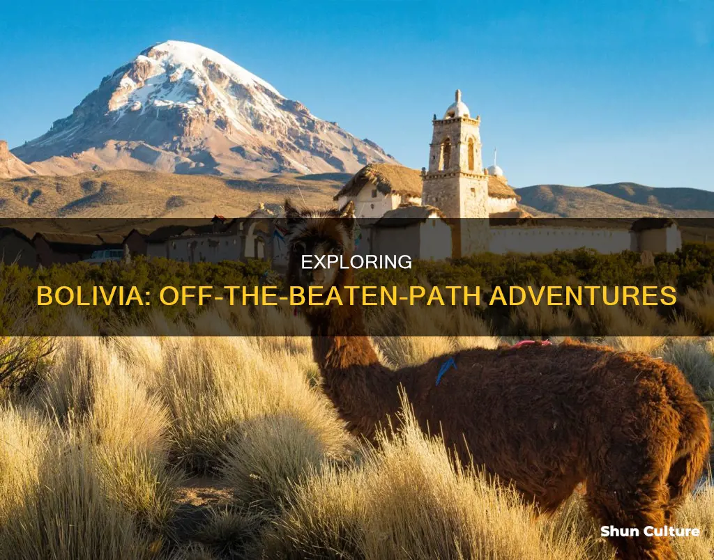 what to do in bolivia no touristy