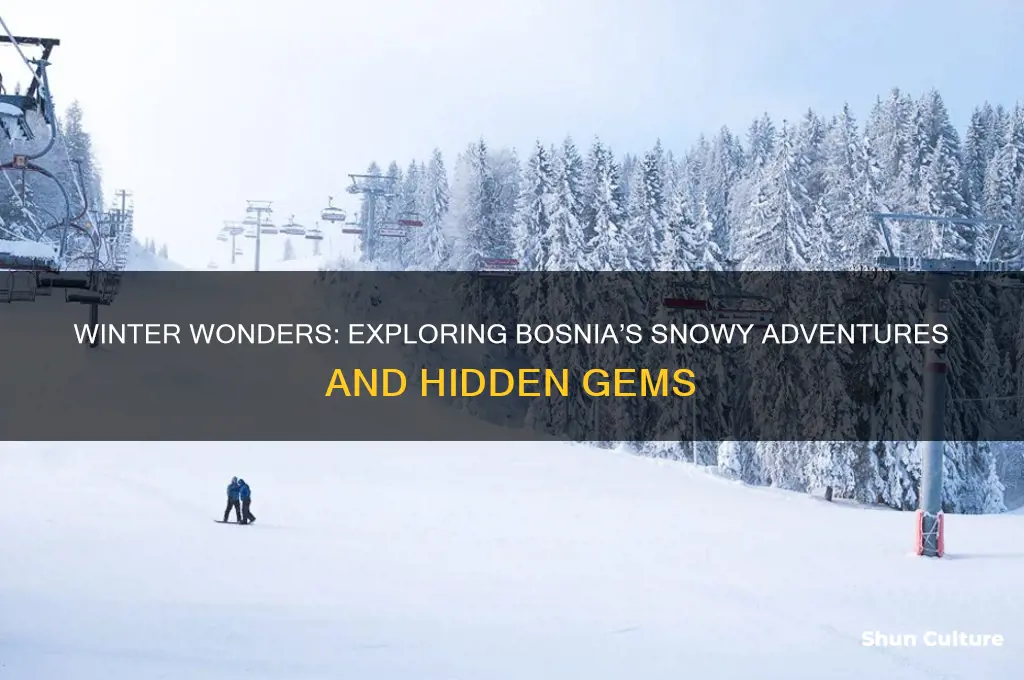 what to do in bosnia in winter