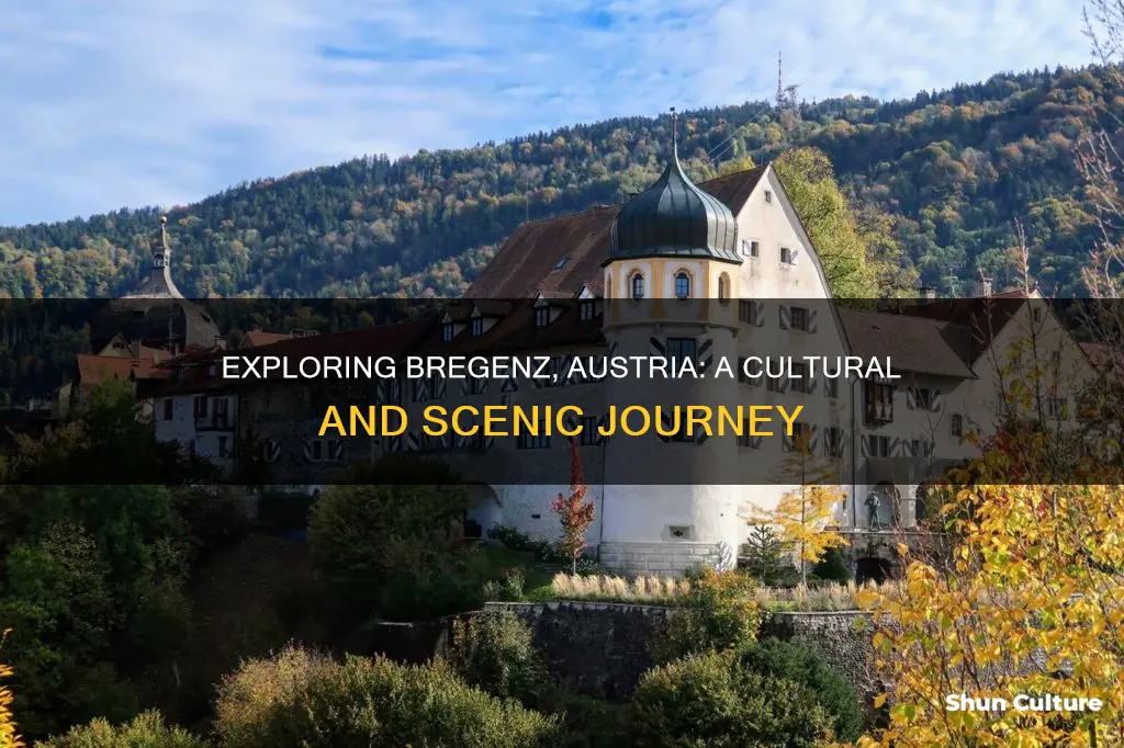 what to do in bregenz austria