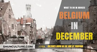 Winter Wonderland: Exploring Bruges' Enchanting December Delights