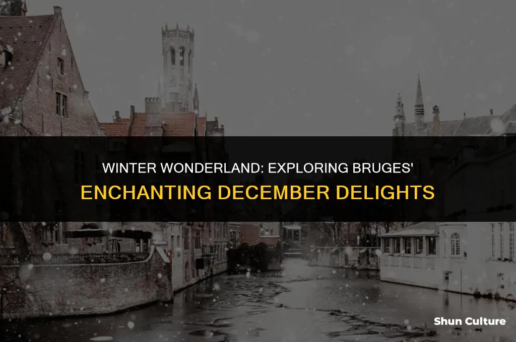 what to do in bruges belgium in december