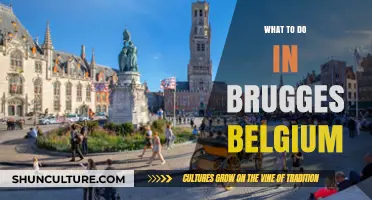Exploring Enchanting Bruges: A Guide to Belgium's Hidden Gem