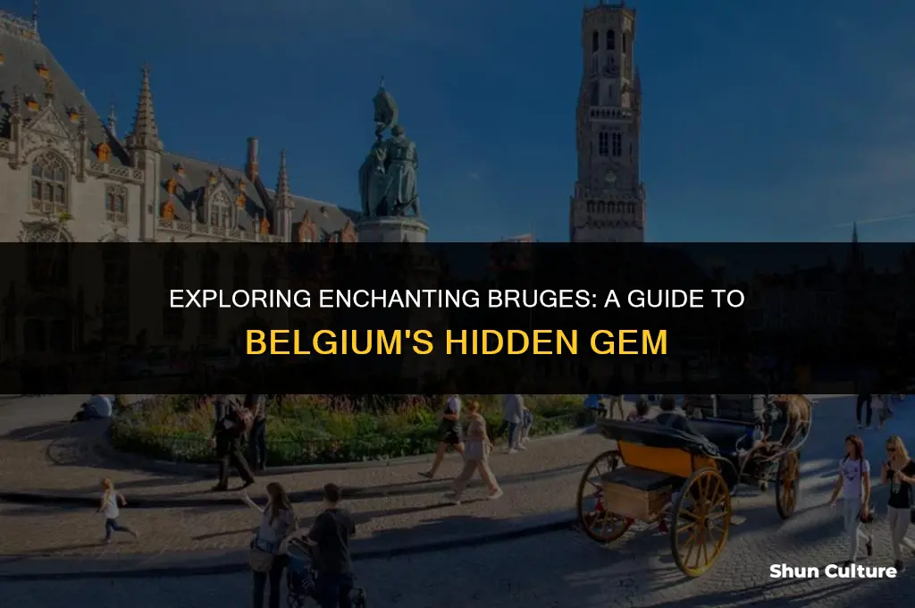 what to do in brugges belgium