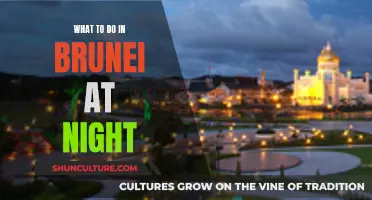 Exploring Brunei's Night: Activities and Attractions