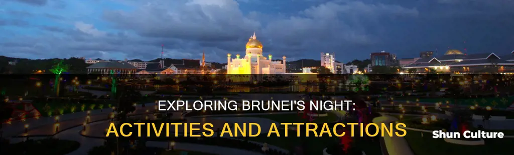 what to do in brunei at night