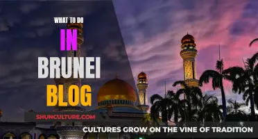 Exploring Brunei: A Comprehensive Travel Guide