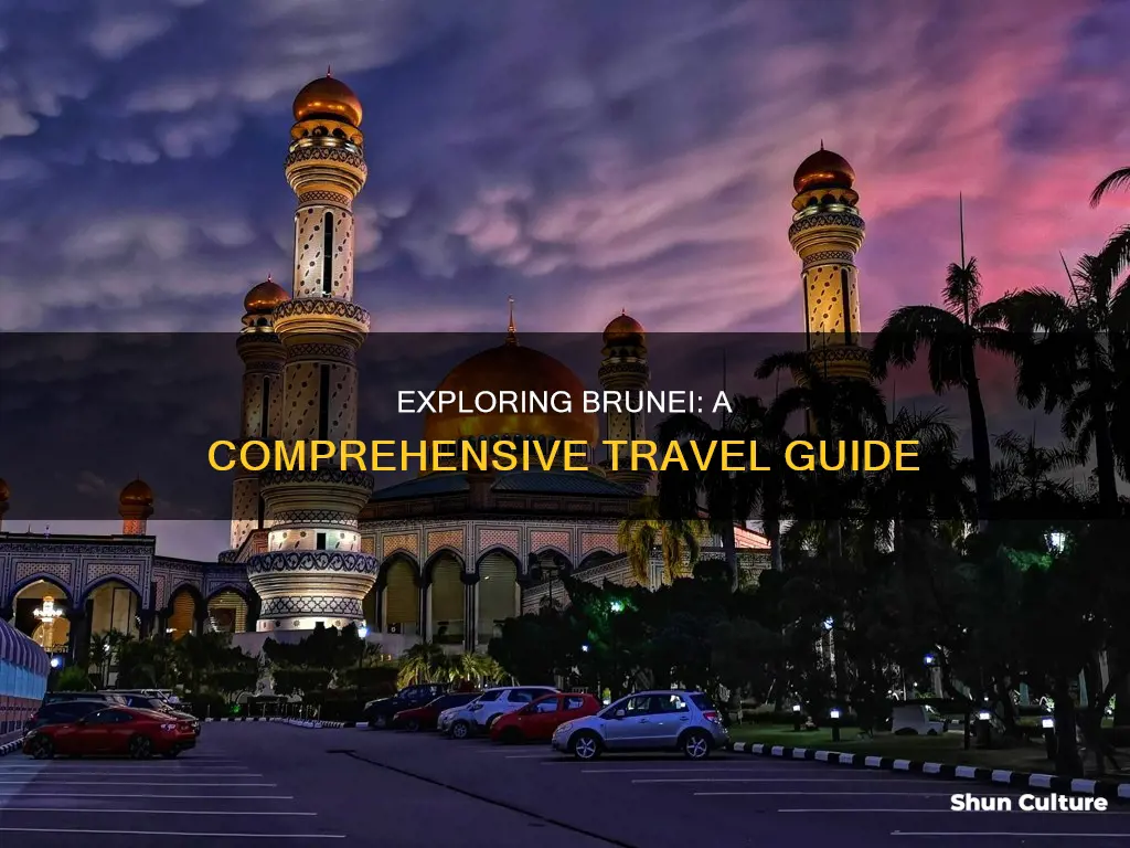 what to do in brunei blog