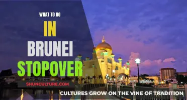 Exploring Brunei: A Stopover Travel Guide