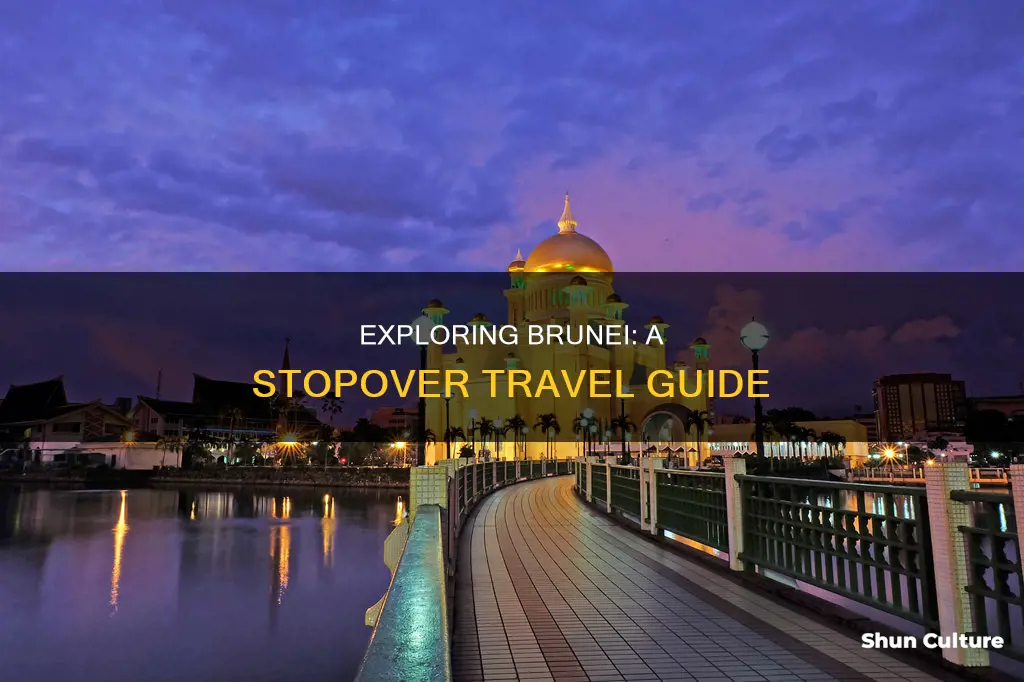 what to do in brunei stopover