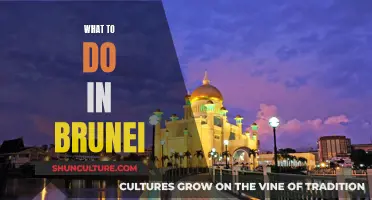 Exploring Brunei: A Guide to the Must-Do Activities