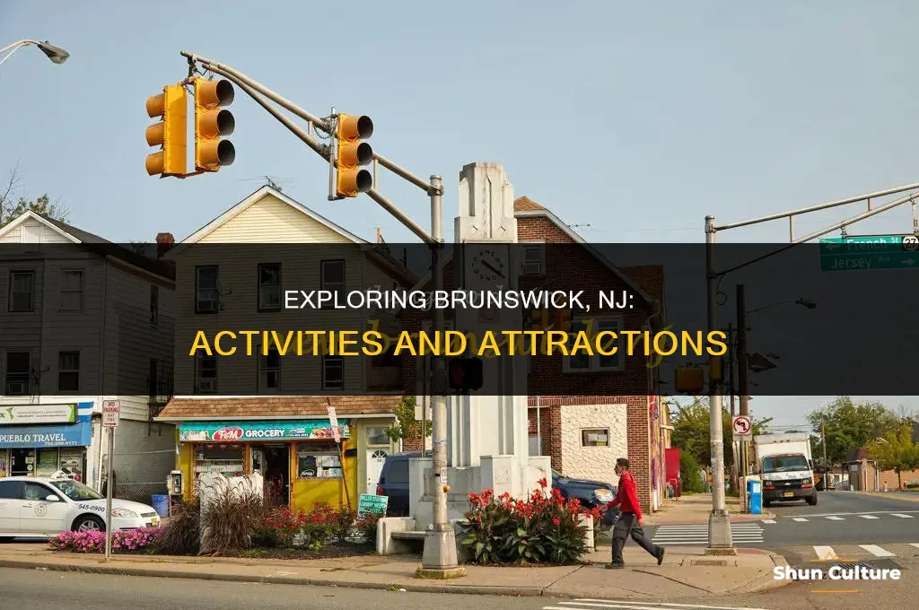 what to do in brunswick nj