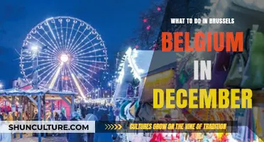 Winter Wonders: Exploring Brussels' Festive Charm in December