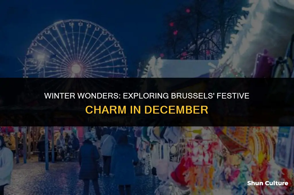 what to do in brussels belgium in december