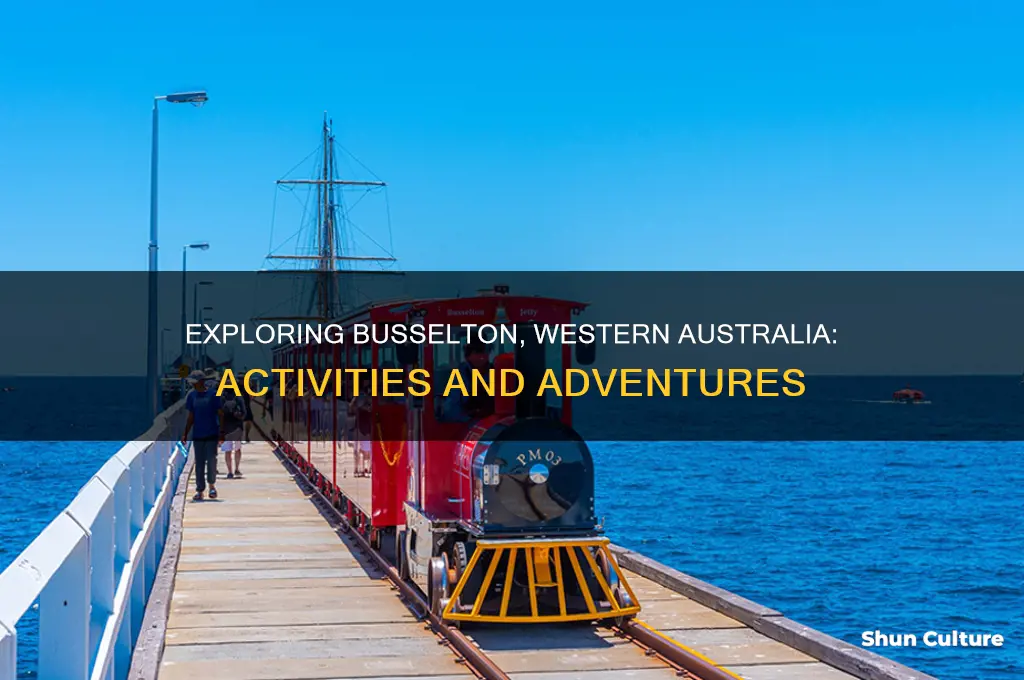 what to do in busselton western australia