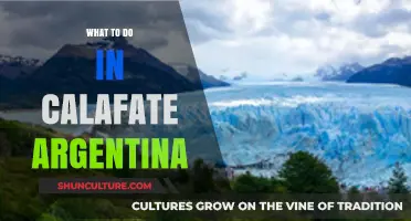 Exploring El Calafate: A Guide to Argentina's Glacier Capital