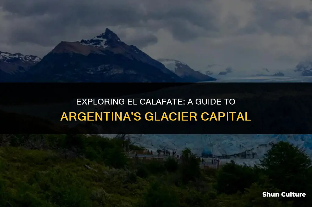 what to do in calafate argentina