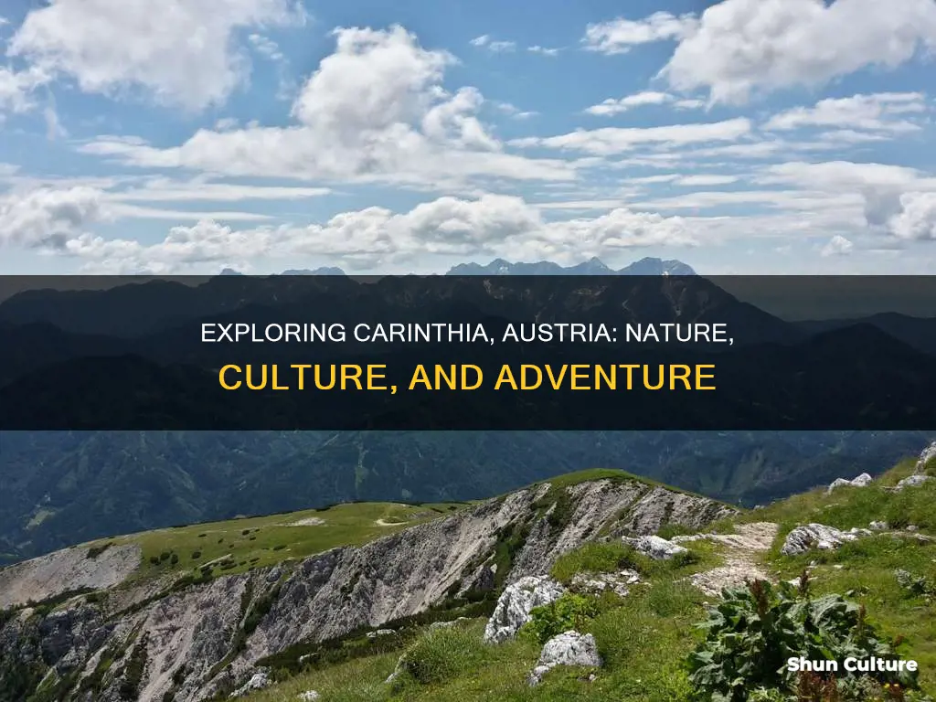 what to do in carinthia austria