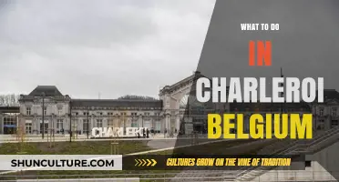 Exploring Charleroi: Unveiling Belgium's Hidden Gem