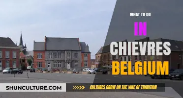 Exploring Chievres, Belgium: A Guide to Local Attractions and Hidden Gems