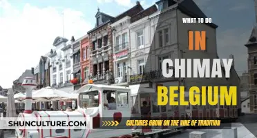 Exploring Chimay, Belgium: A Guide to Its Best Attractions and Activities