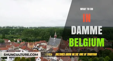 Exploring Damme, Belgium: A Guide to Its Hidden Gems and Local Favorites