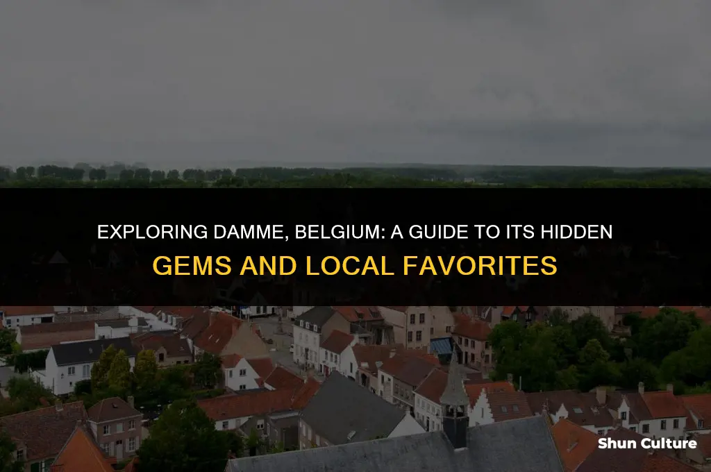 what to do in damme belgium