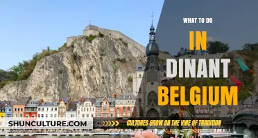 Discovering Dinant: A Guide to Belgium's Charming Riverside Town