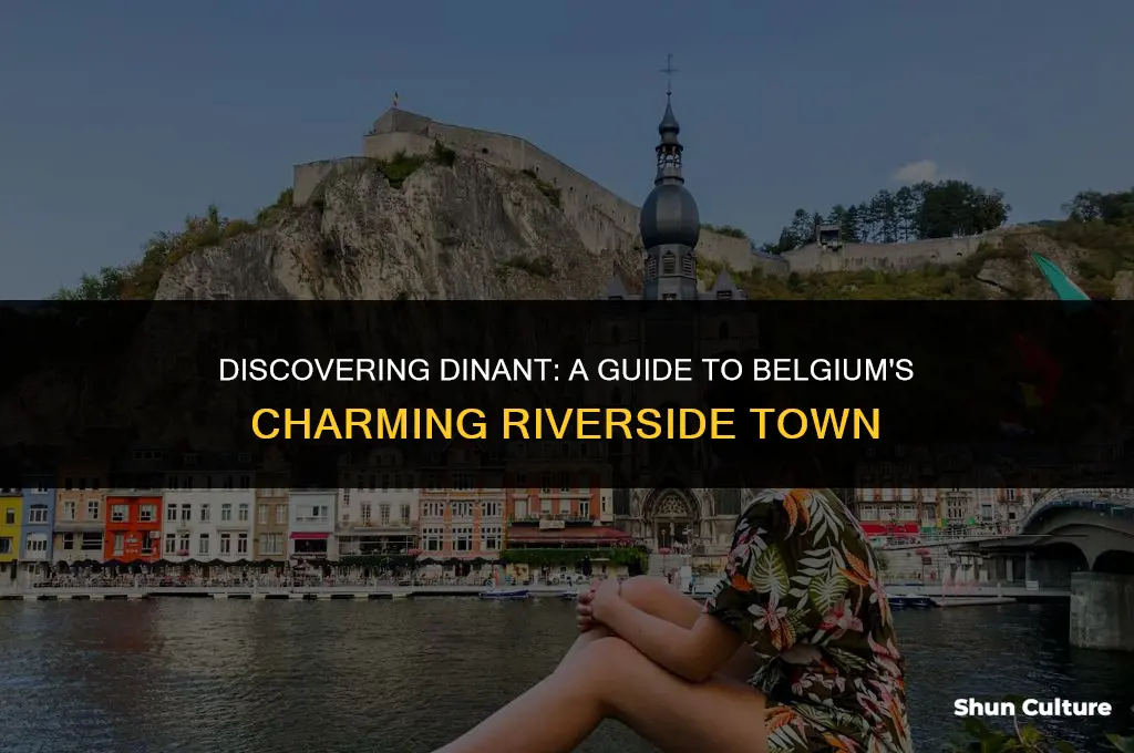 what to do in dinant belgium