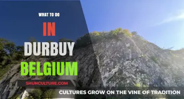 Discovering Durbuy: A Guide to Belgium's Hidden Gem