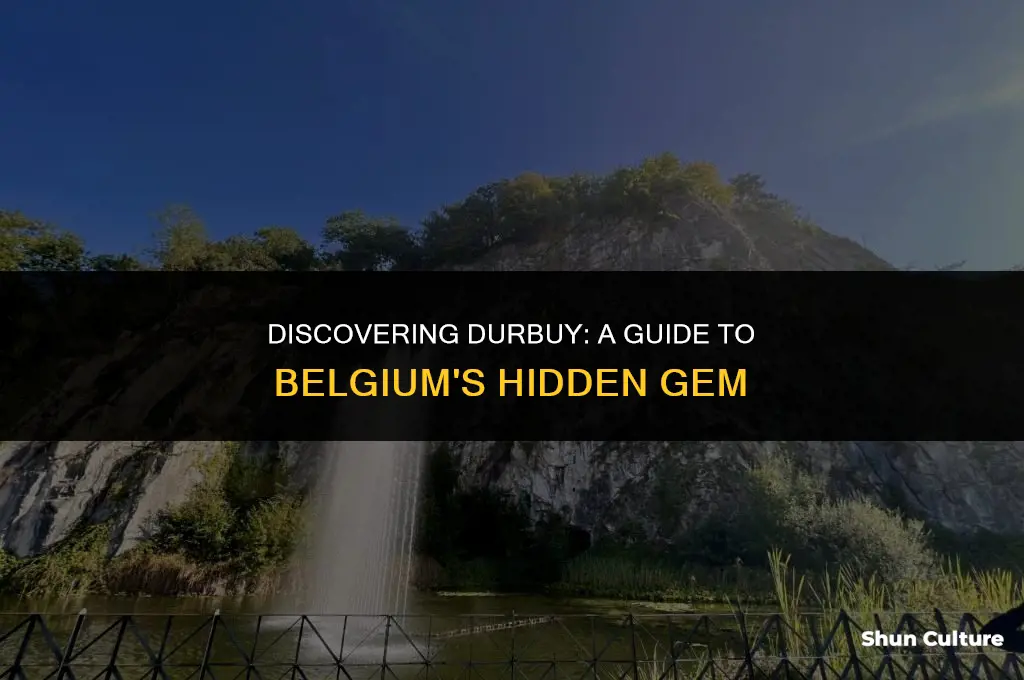 what to do in durbuy belgium