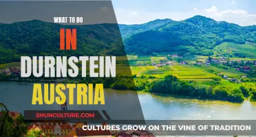 Durnstein's Charms: A Guide to Austria's Hidden Gem