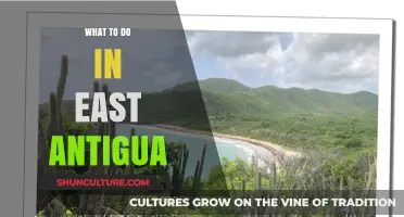 Exploring East Antigua: Top Attractions, Beaches, and Hidden Gems