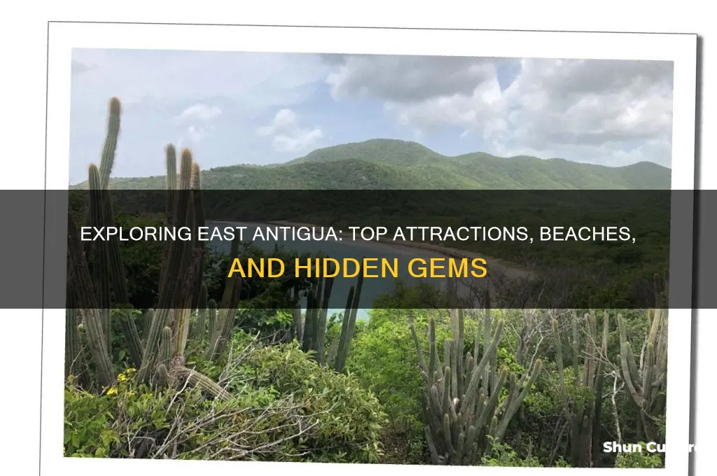 what to do in east antigua