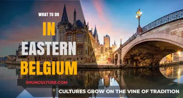 Exploring Eastern Belgium: Top Attractions and Hidden Gems