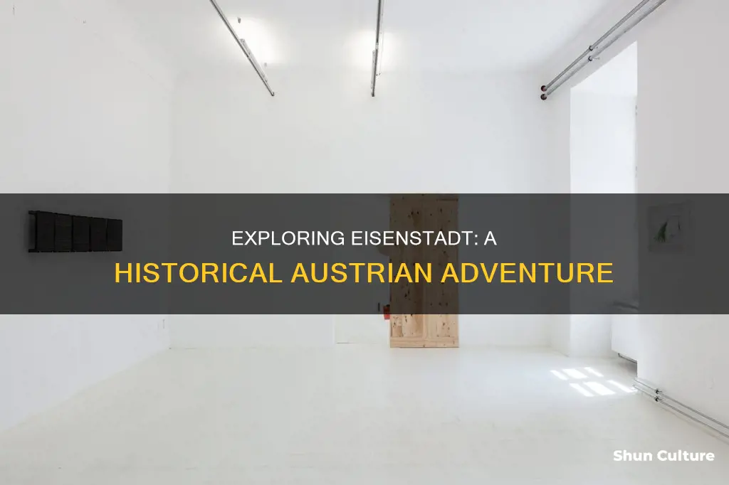 what to do in eisenstadt austria