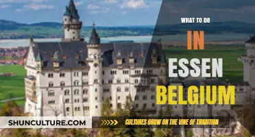 Discovering Essen, Belgium: A Local's Guide to Hidden Gems