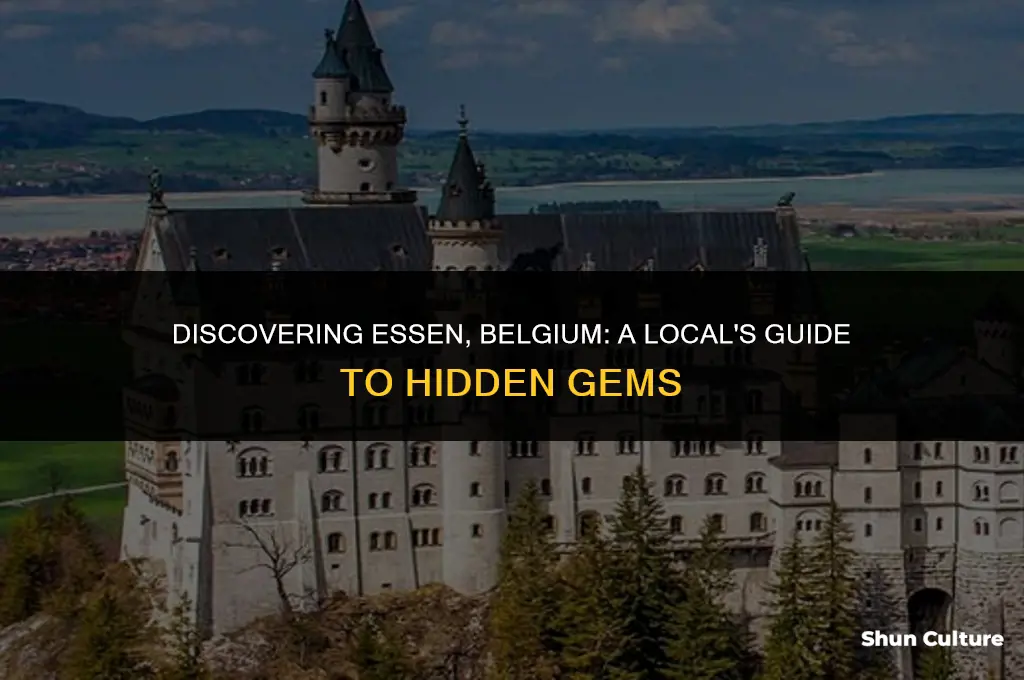 what to do in essen belgium