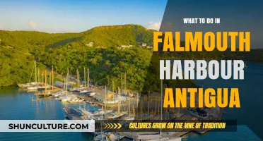 Exploring Falmouth Harbour: Top Activities and Hidden Gems in Antigua
