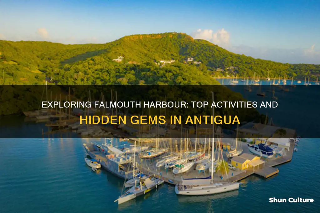 what to do in falmouth harbour antigua