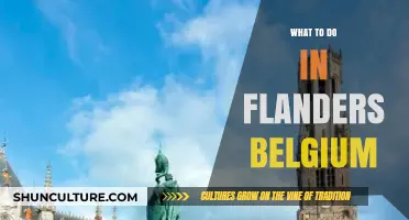 Exploring Flanders: Unmissable Attractions and Hidden Gems in Belgium