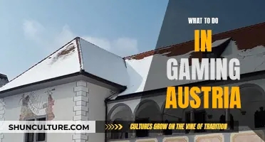 Unleash Your Inner Gamer: Austria's Gaming Paradise Awaits!