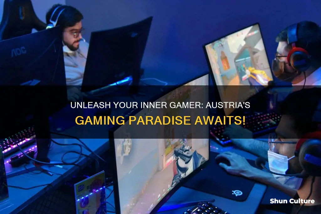 what to do in gaming austria