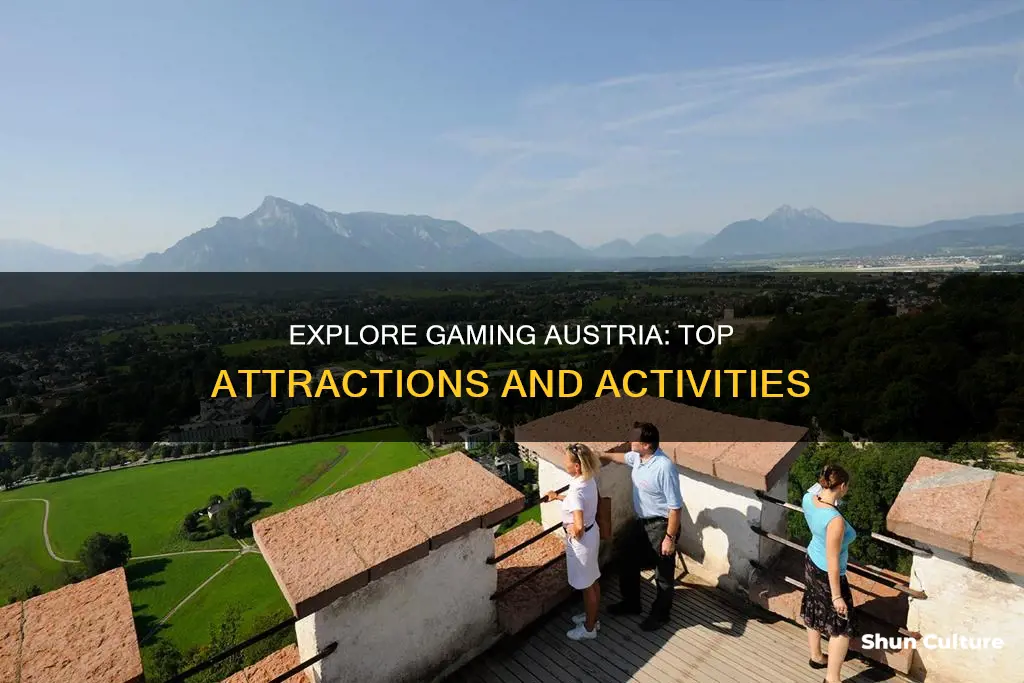 what to do in gaming austria